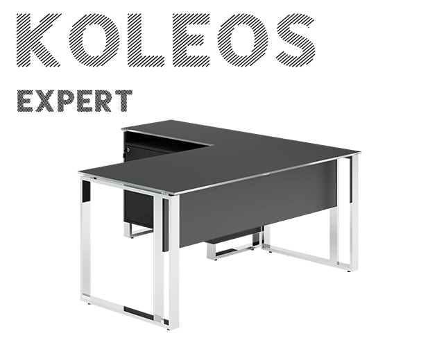 expert-koleos-2